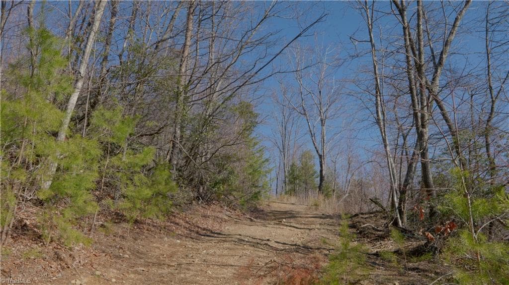 Unimproved Land at 337 Goat House Road, Lambsburg VA 24351, Lambsburg, photo 20 of 47