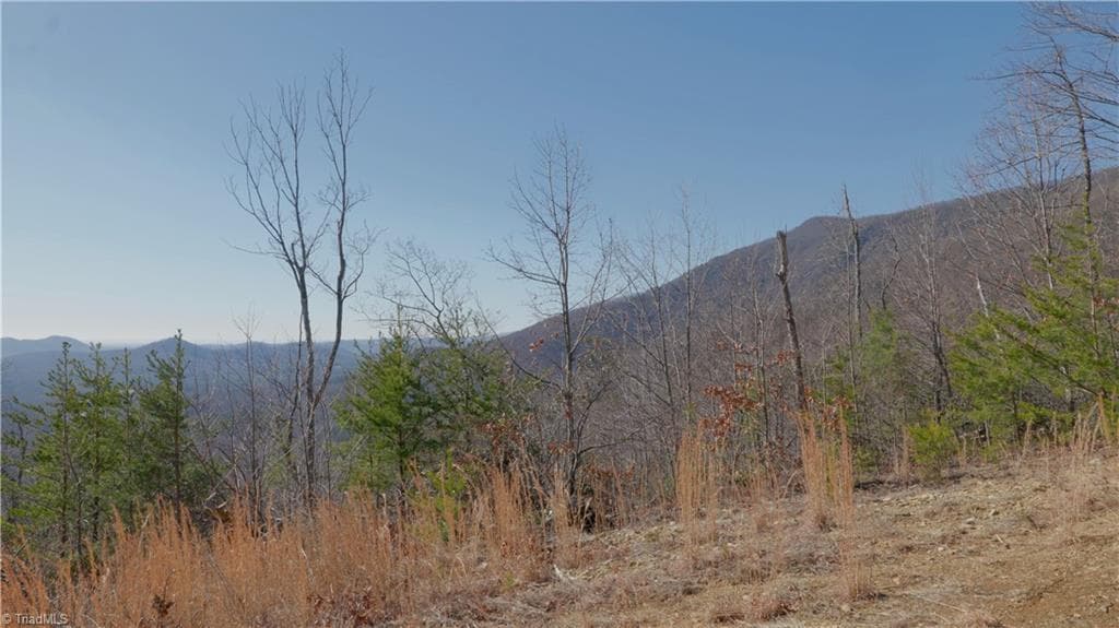 Unimproved Land at 337 Goat House Road, Lambsburg VA 24351, Lambsburg, photo 15 of 47