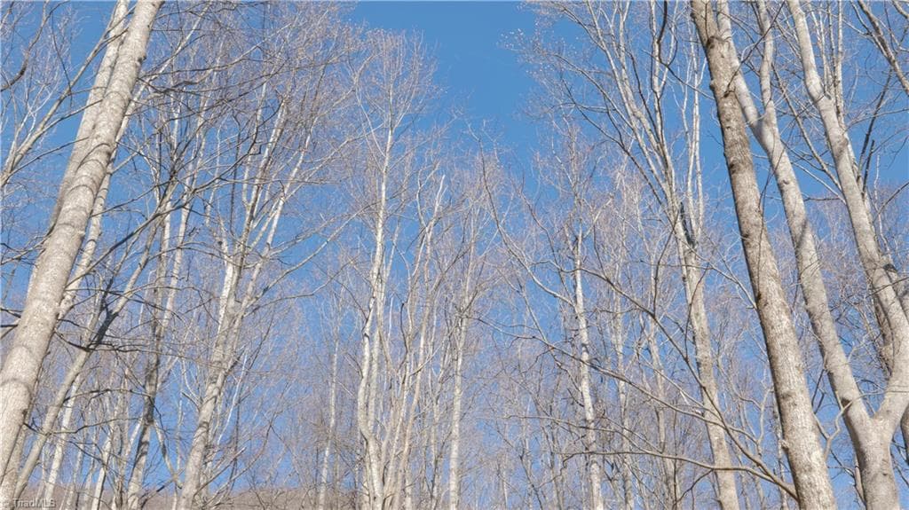 Unimproved Land at 337 Goat House Road, Lambsburg VA 24351, Lambsburg, photo 29 of 47