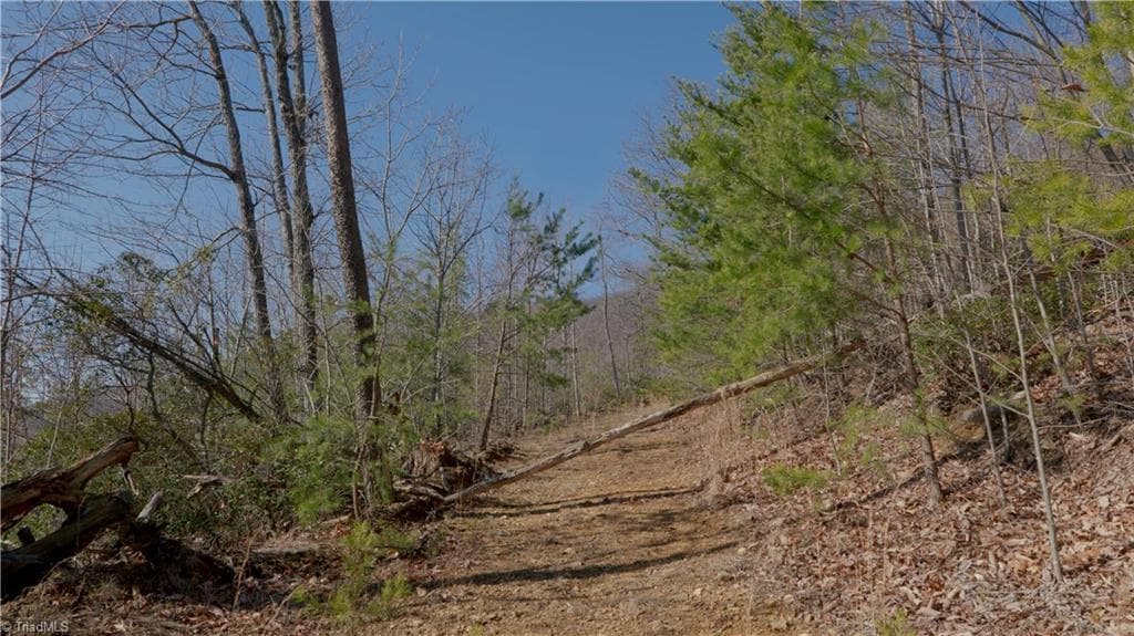 Unimproved Land at 337 Goat House Road, Lambsburg VA 24351, Lambsburg, photo 21 of 47