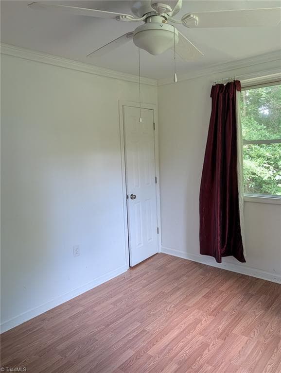 Bedroom1 - 135 Redbud Road, Eden NC 27288, Eden