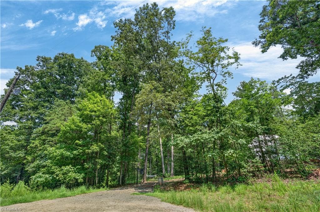 Stick/Site Built at 1005 Brewer Mill Road Extension, Traphill NC 28685, Traphill, photo 18 of 25