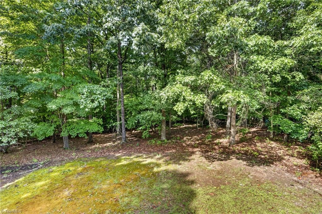 Stick/Site Built at 313 Daniel Paul Drive, Archdale NC 27263, photo 16 of 31