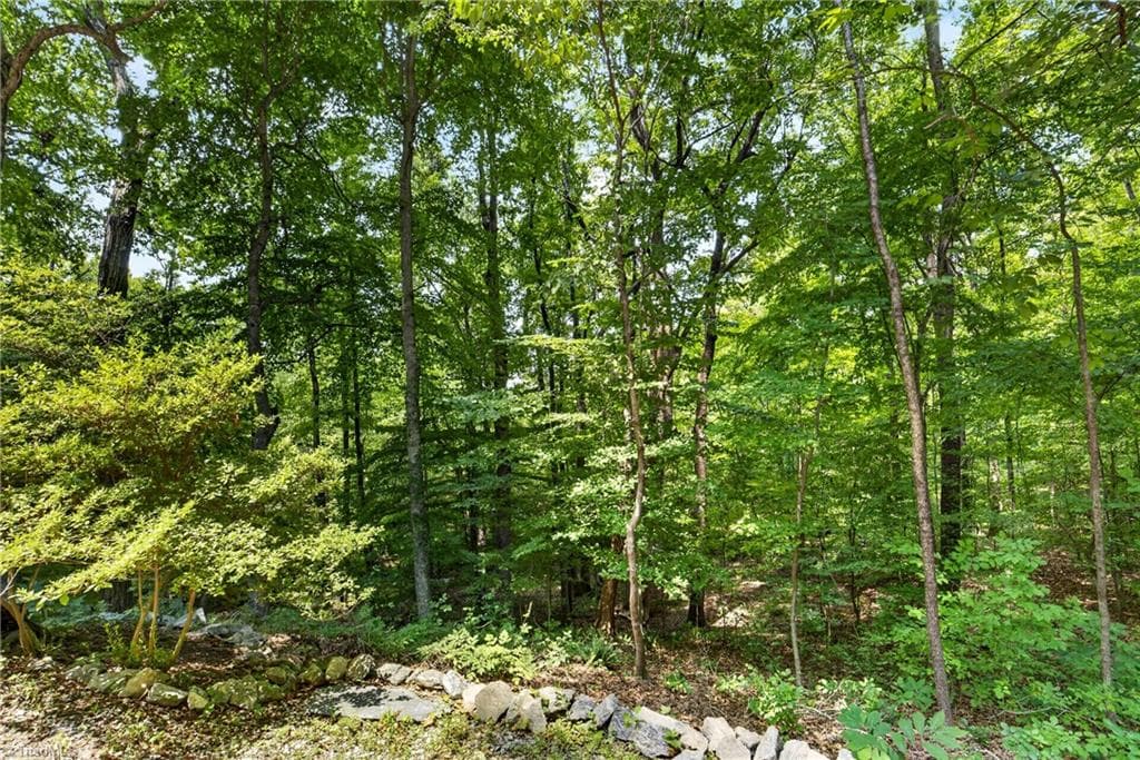 Stick/Site Built at 6809 Brookbank Road, Summerfield NC 27358, Summerfield, photo 97 of 100