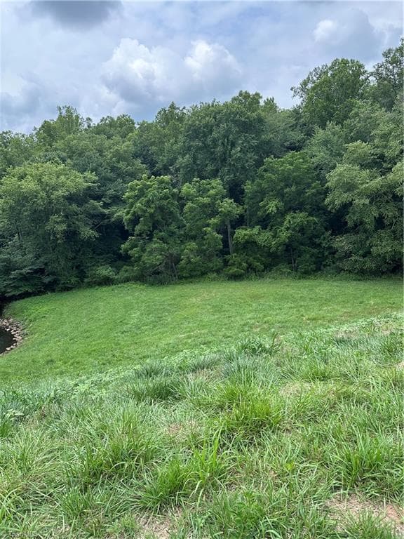 Unimproved Land at 1000 Kingsway Drive, King NC 27021, photo 3 of 5