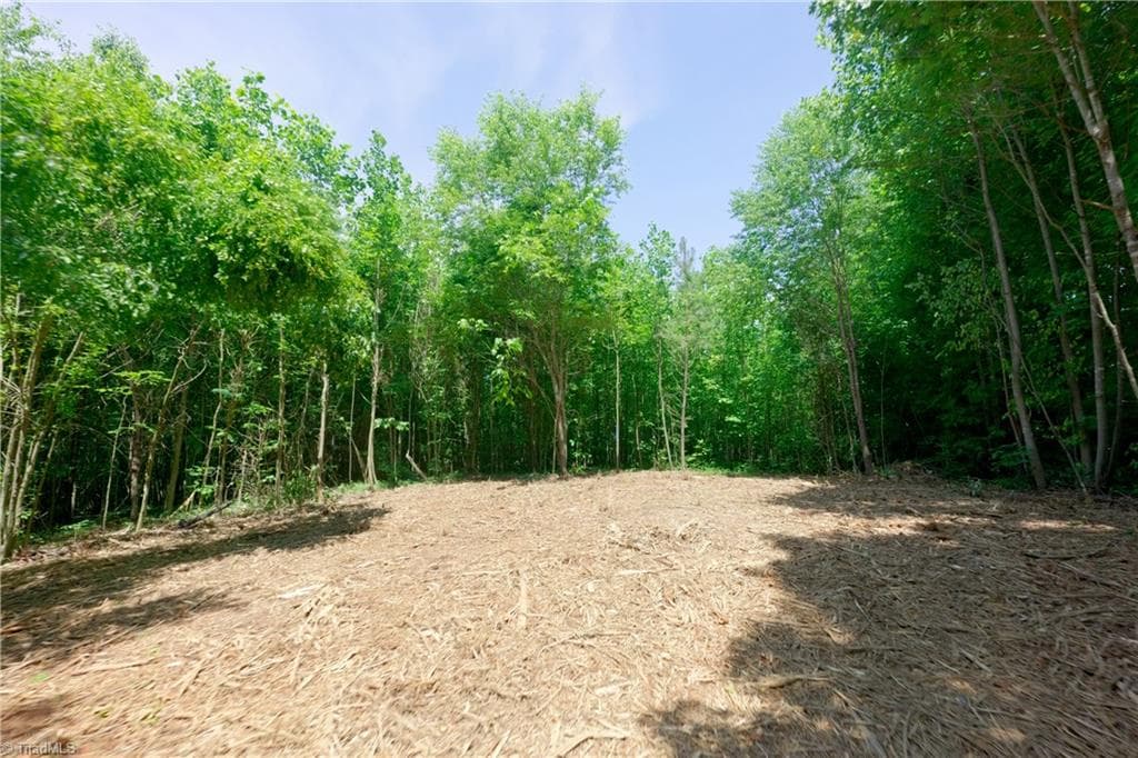 Unimproved Land at 0 US Highway 601, Yadkinville NC 27055, Yadkinville, photo 6 of 16