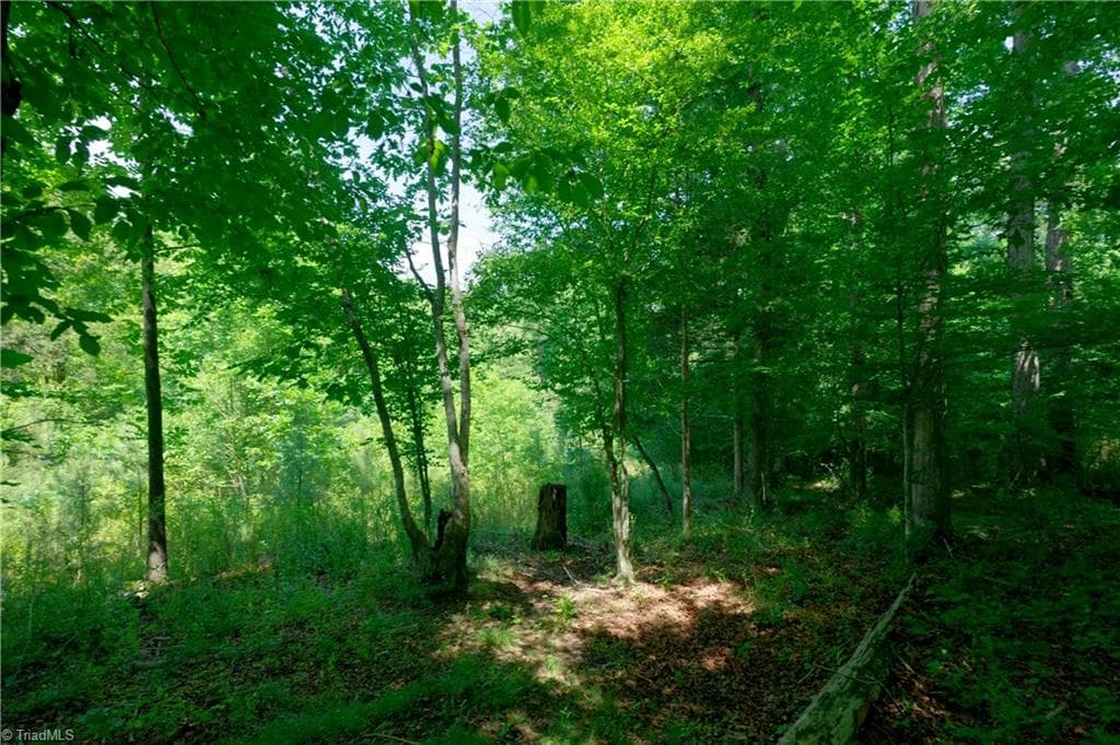 Unimproved Land at 0 US Highway 601, Yadkinville NC 27055, Yadkinville, photo 13 of 16