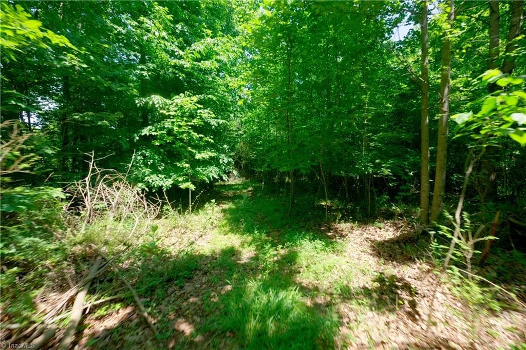 Unimproved Land at 0 US Highway 601, Yadkinville NC 27055, Yadkinville, photo 12 of 16