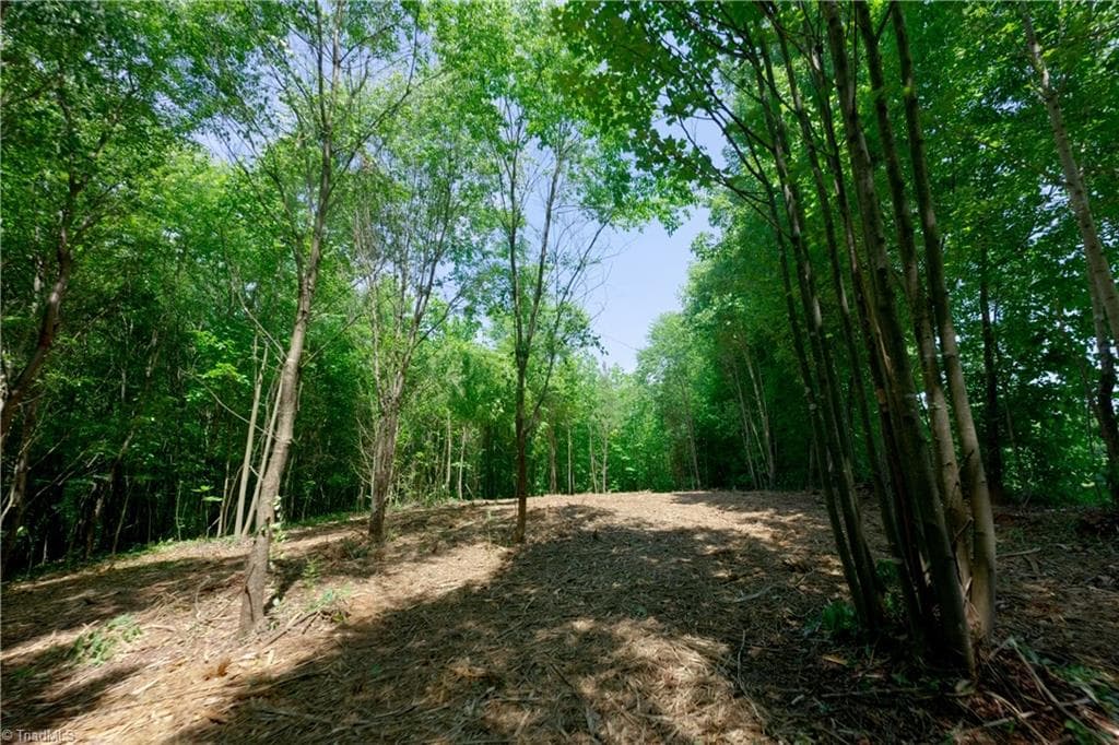 Unimproved Land at 0 US Highway 601, Yadkinville NC 27055, Yadkinville, photo 5 of 16