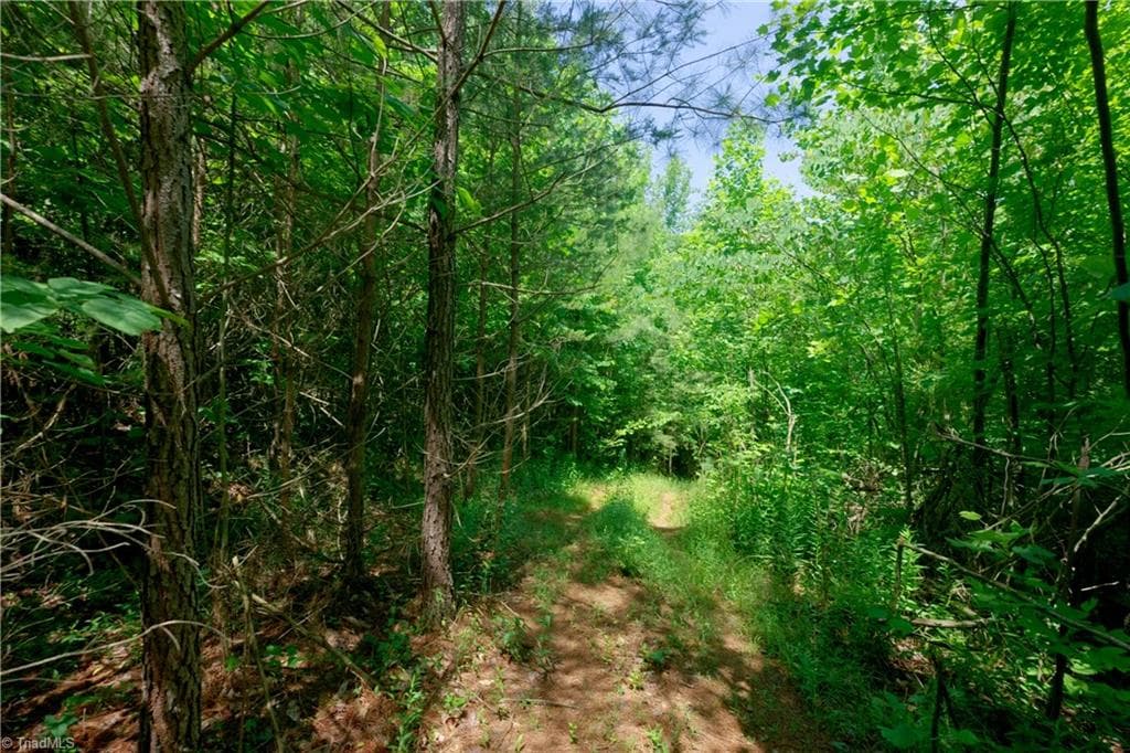 Unimproved Land at 0 US Highway 601, Yadkinville NC 27055, Yadkinville, photo 10 of 16