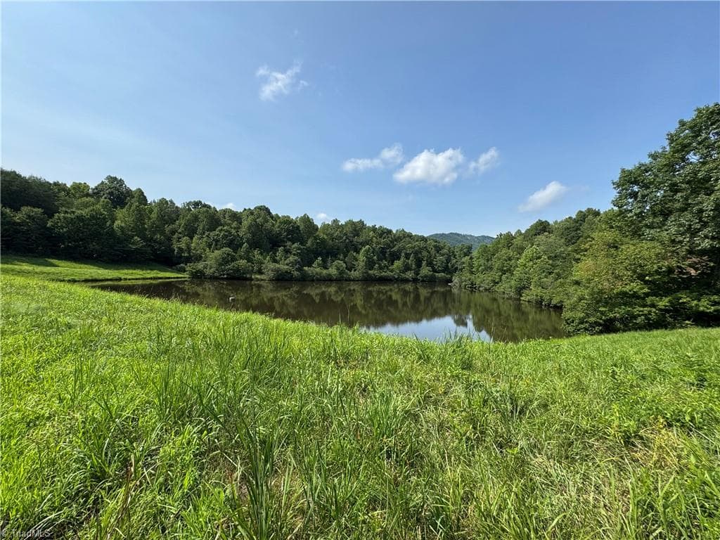 Unimproved Land at 0 Edwards Farm Road, King NC 27021, King, photo 2 of 17