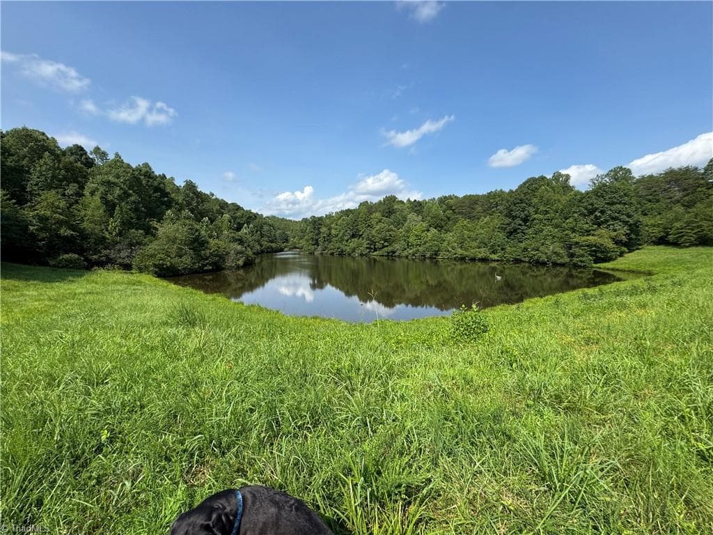 Unimproved Land at 0 Edwards Farm Road, King NC 27021, King, photo 6 of 17