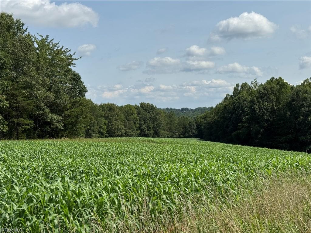 Unimproved Land at 0 Edwards Farm Road, King NC 27021, King, photo 16 of 17