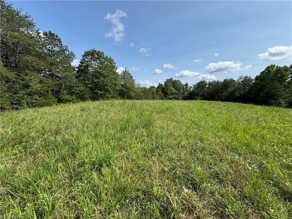 Unimproved Land at 0 Edwards Farm Road, King NC 27021, King, photo 7 of 17