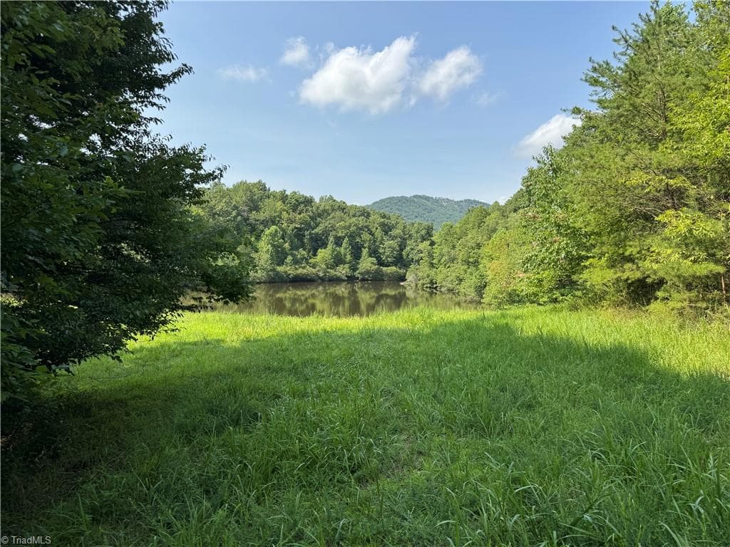 Unimproved Land at 0 Edwards Farm Road, King NC 27021, King, photo 3 of 17