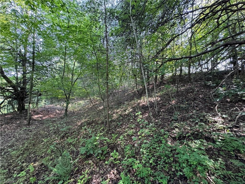 Unimproved Land at 0 Edwards Farm Road, King NC 27021, King, photo 9 of 17