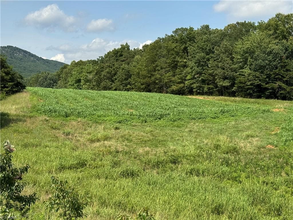 Unimproved Land at 0 Edwards Farm Road, King NC 27021, King, photo 14 of 17