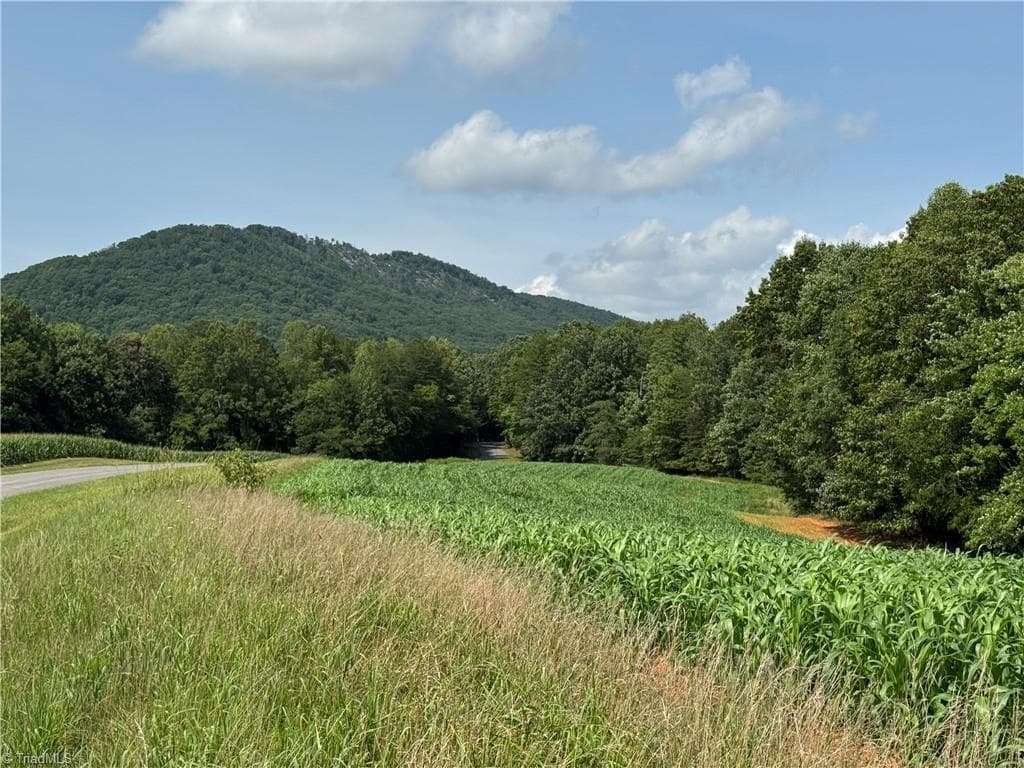 Unimproved Land at 0 Edwards Farm Road, King NC 27021, King, photo 15 of 17