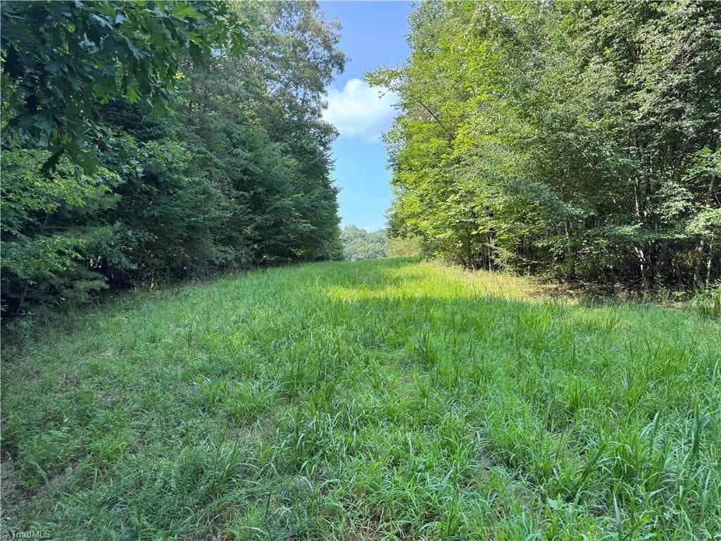 Unimproved Land at 0 Edwards Farm Road, King NC 27021, King, photo 4 of 17
