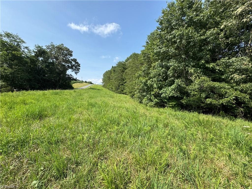 Unimproved Land at 0 Edwards Farm Road, King NC 27021, King, photo 8 of 17