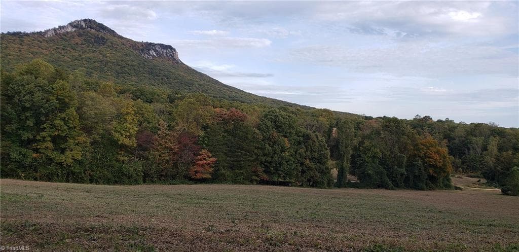 Agriculture at 0 Reid Road Lot 1, King NC 27021, photo 7 of 12