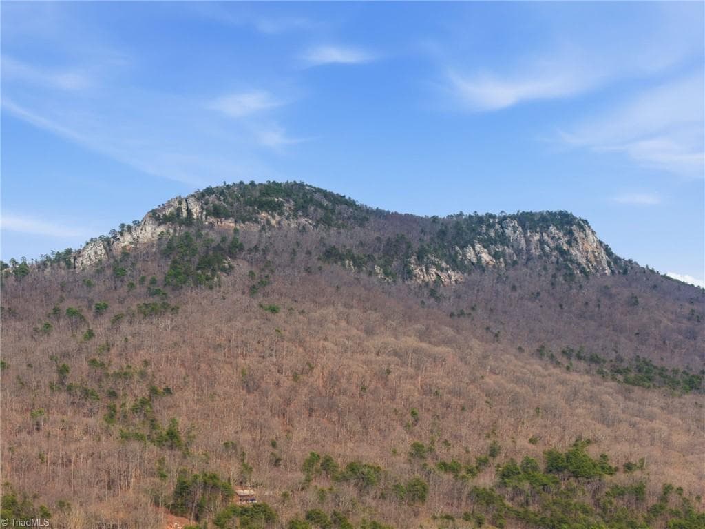 Agriculture at 0 Reid Road Lot 1, King NC 27021, photo 3 of 12