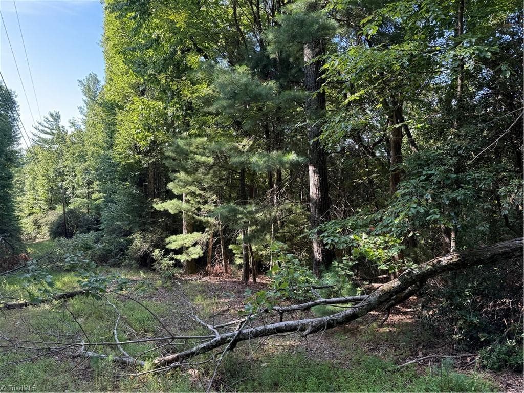 00 Timber Ridge Road, Millers Creek NC 28651