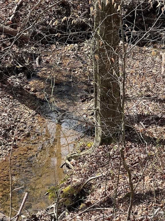 Agriculture at 00 Friends Mission Road, Ararat VA 24053, Ararat, photo 6 of 13