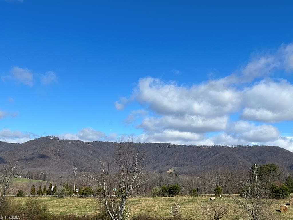 Agriculture at 00 Friends Mission Road, Ararat VA 24053, Ararat, photo 13 of 13