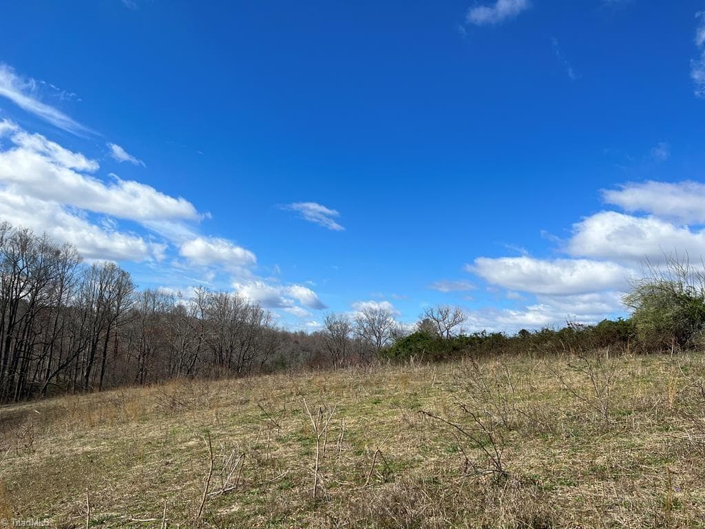 Agriculture at 00 Friends Mission Road, Ararat VA 24053, Ararat, photo 11 of 13