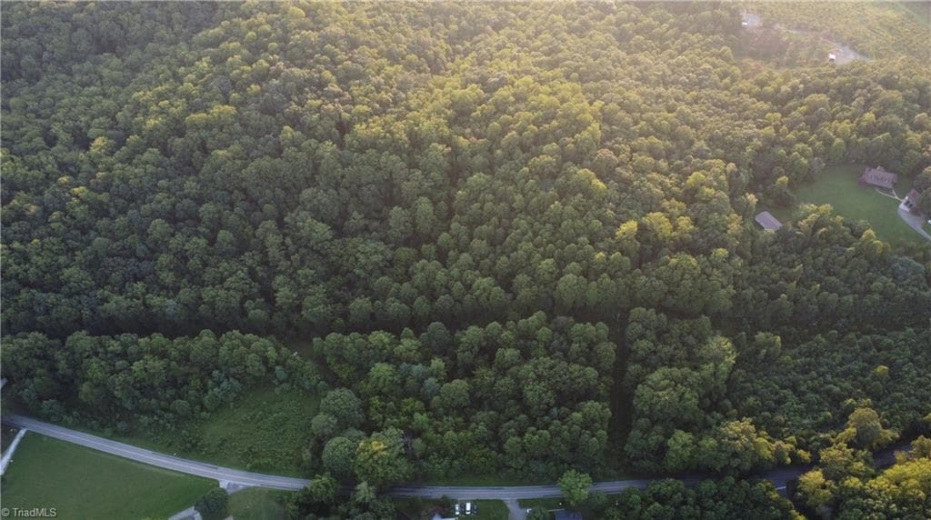 Unimproved Land at 4749 Wards Gap Road, Cana VA 24317, Cana, photo 12 of 14