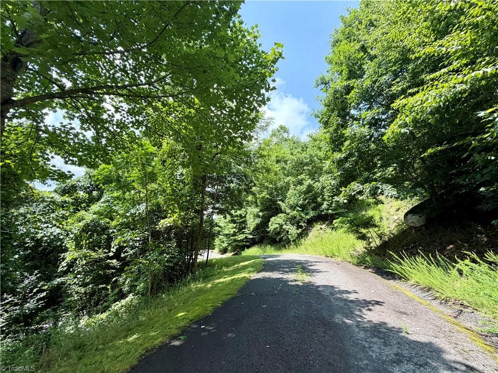 Resort at Lot 99 Beaver Dam Road, Banner Elk NC 28604, Banner Elk, photo 6 of 36