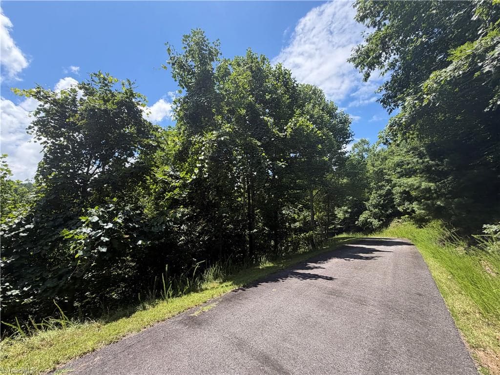 Resort at Lot 99 Beaver Dam Road, Banner Elk NC 28604, Banner Elk, photo 33 of 36