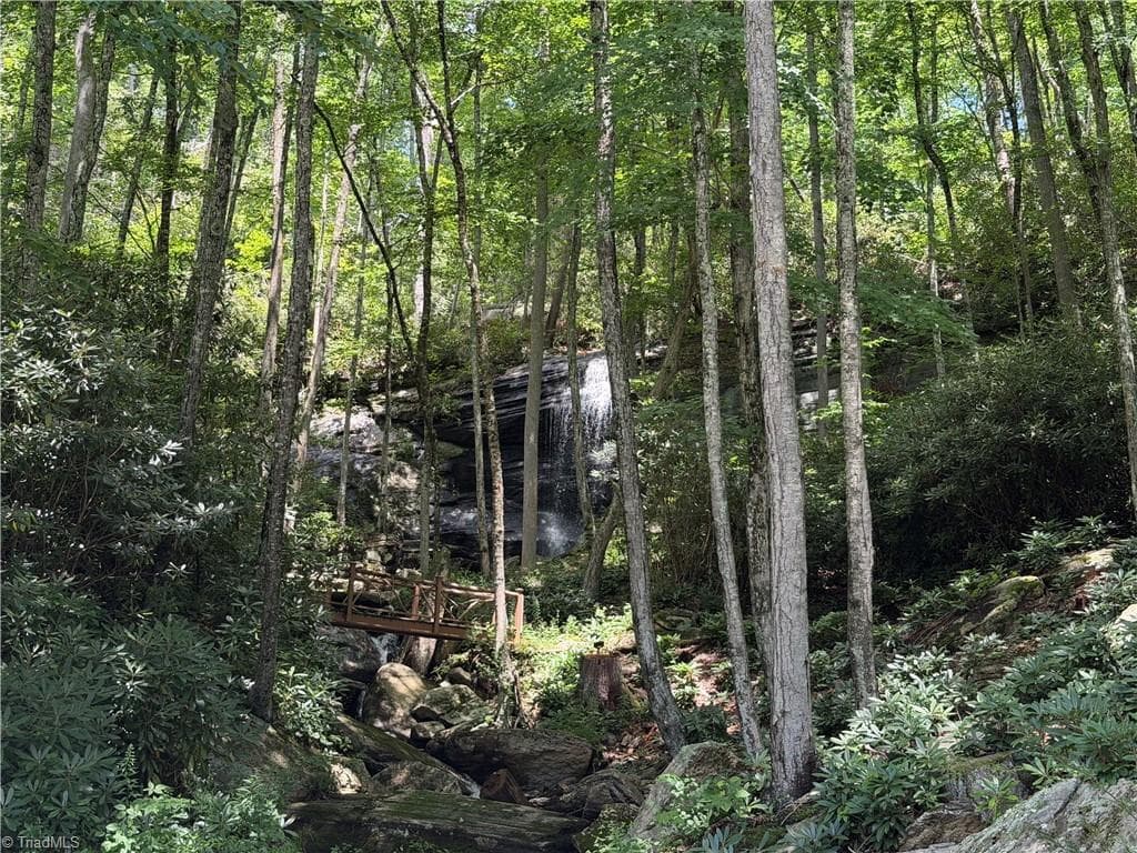 Resort at Lot 99 Beaver Dam Road, Banner Elk NC 28604, Banner Elk, photo 35 of 36