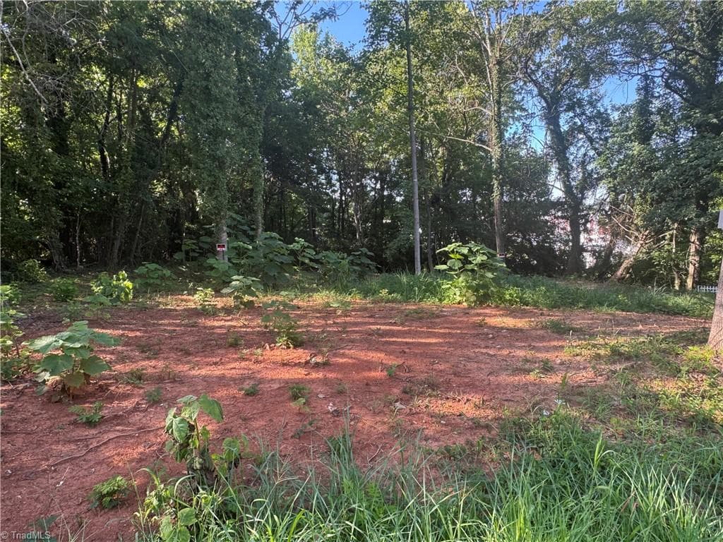 Industrial at 1570 Bethel Drive, High Point NC 27260, High Point, photo 3 of 8