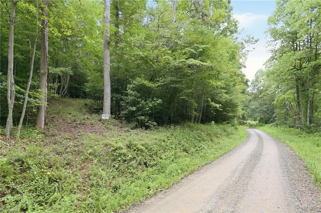 Single Family Residence at 000 Brewer Mill Road Extension, Traphill NC 28685, photo 4 of 8