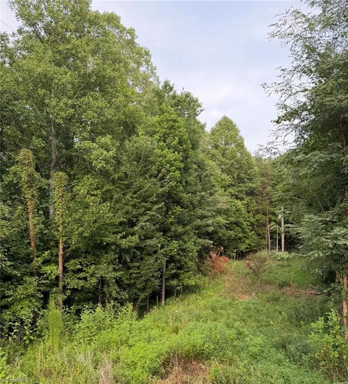 Unimproved Land at 00 Locust Grove Road # 67, Westfield NC 27053, photo 9 of 20