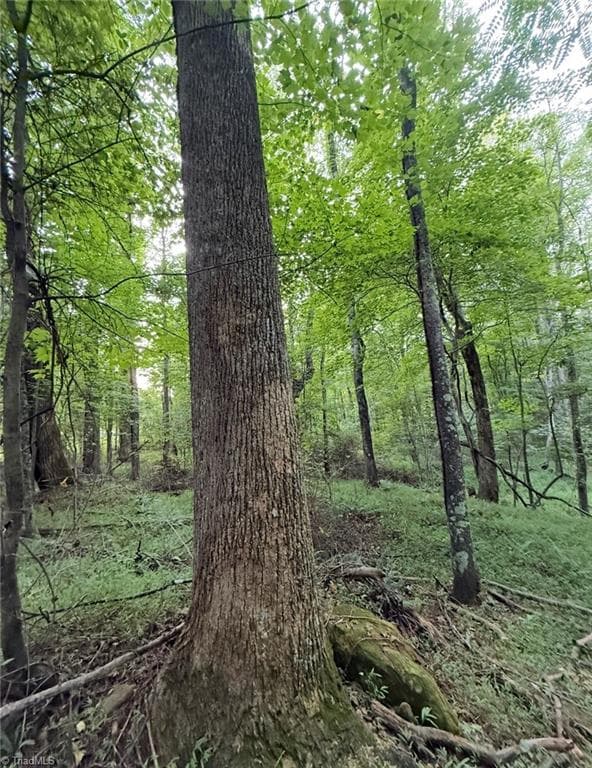Unimproved Land at 00 Locust Grove Road # 67, Westfield NC 27053, photo 15 of 20