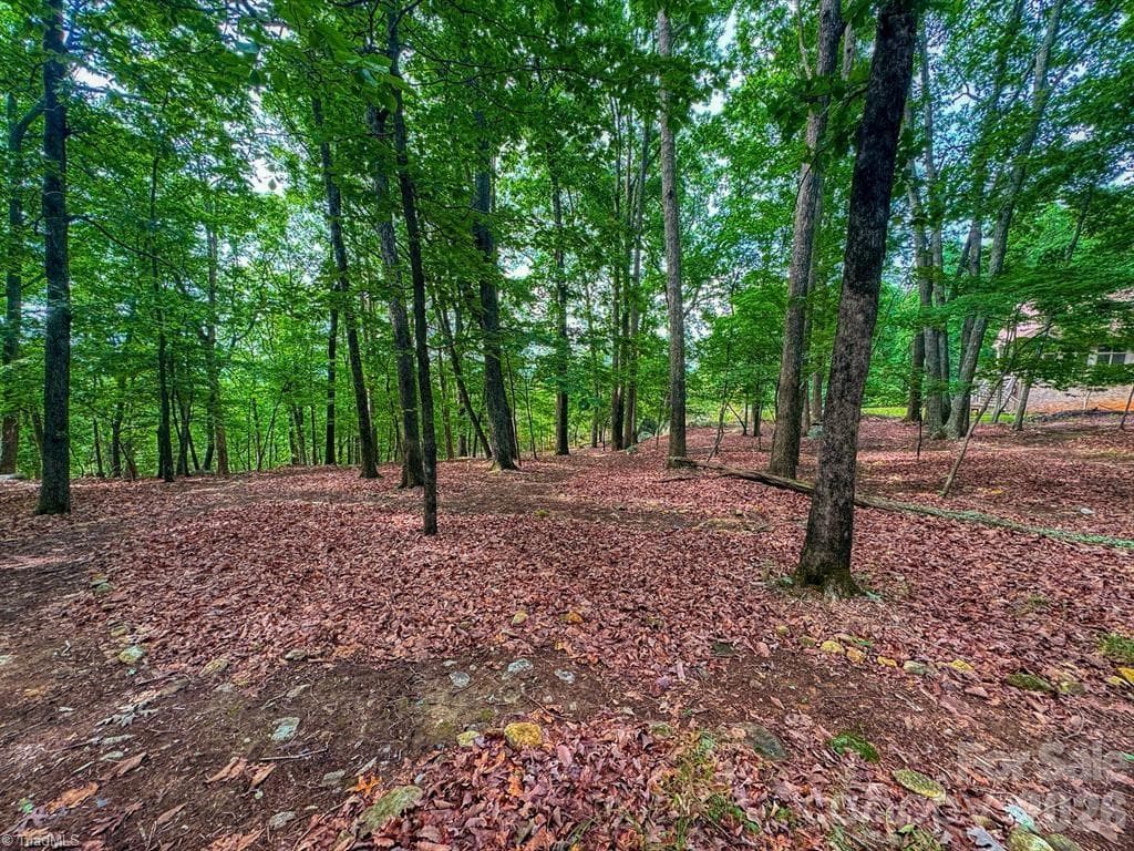 Single Family Residence at 1616 Sierra Trace Road, Denton NC 27239, Denton, photo 17 of 42
