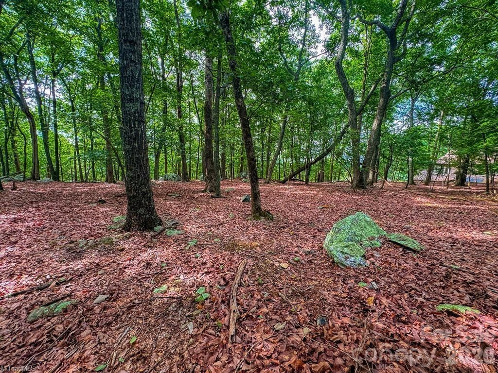 Single Family Residence at 1616 Sierra Trace Road, Denton NC 27239, Denton, photo 12 of 42
