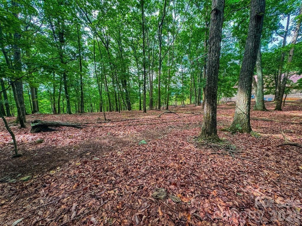 Single Family Residence at 1616 Sierra Trace Road, Denton NC 27239, Denton, photo 14 of 42