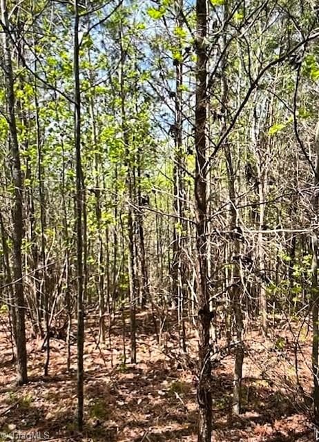 Agriculture at 0 Tate Road, Reidsville NC 27320, photo 2 of 2