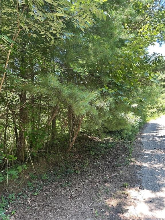 Unimproved Land at 3960 Winston Drive, Morganton NC 28655, Morganton, photo 2 of 2