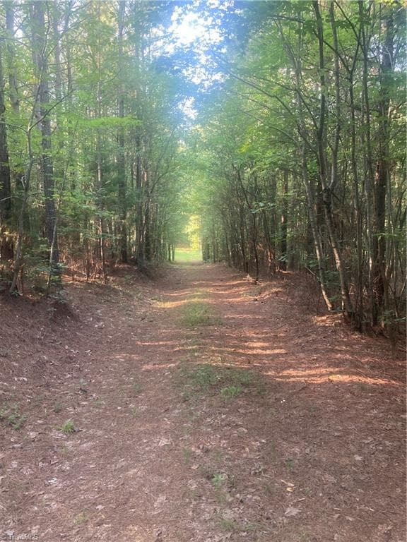 Unimproved Land at 0 Graham Davis Road, Denton NC 27279, photo 20 of 22