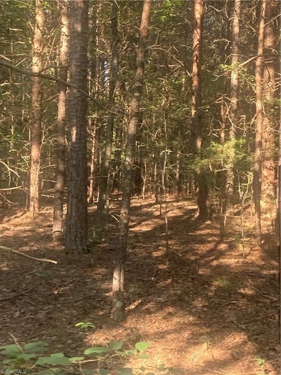 Unimproved Land at 0 Graham Davis Road, Denton NC 27279, photo 14 of 22