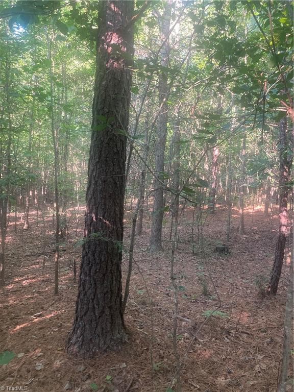 Unimproved Land at 0 Graham Davis Road, Denton NC 27279, photo 15 of 22