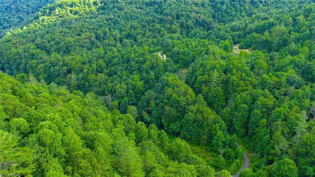 Unimproved Land at TBD 8 Big Laurel Road, Creston NC 28615, photo 6 of 13