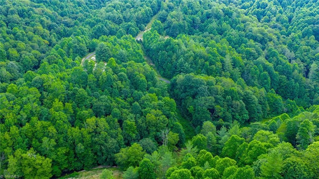 Unimproved Land at TBD 8 Big Laurel Road, Creston NC 28615, photo 8 of 13