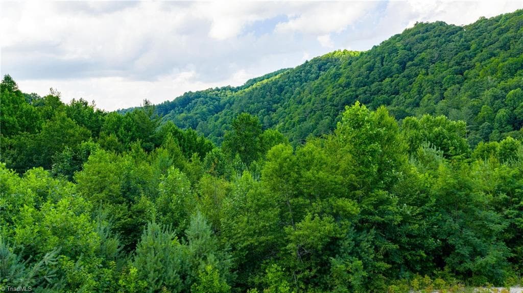 Unimproved Land at TBD 7 Big Laurel Road, Creston NC 28615, photo 13 of 20