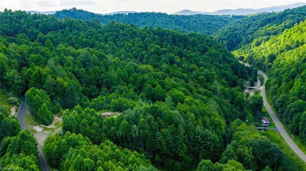 Unimproved Land at TBD 7 Big Laurel Road, Creston NC 28615, photo 12 of 20